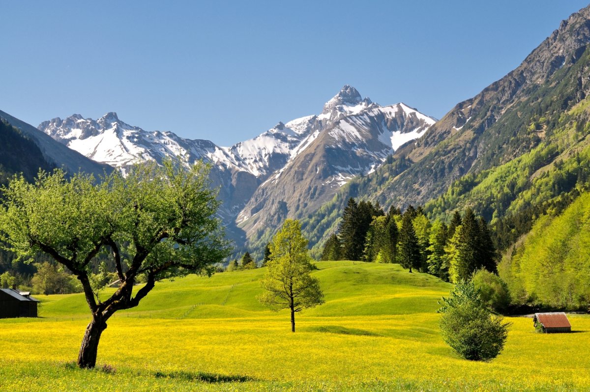 Trettachtal im Frühling